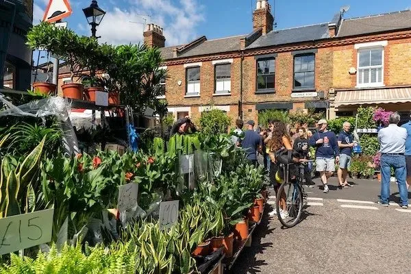 Columbia Road Flower Market